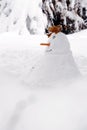 Snowman build in a garden covered with snow. It has nose made of carrot,  face of black buttons and a hat of dry leaves. Royalty Free Stock Photo