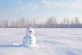 snowman built in a white winter landscape