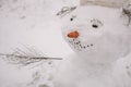 Snowman with a carrot instead of a nose and a mouth laid out of pebbles Royalty Free Stock Photo