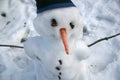 Snowman with Carrot Nose and Toque Royalty Free Stock Photo