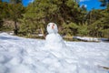 Snowman with carrot pinecones and arms branch in nature Royalty Free Stock Photo