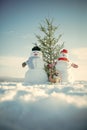 Snowman couple with green fir tree. Christmas or xmas decoration toy in basket.