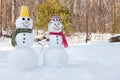 Snowman couple