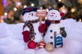 Snowman couple wishes you a Merry Christmas