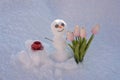 Snowman with cup coffee and spring flowers tulips. Snow man isolated on snow background. Royalty Free Stock Photo