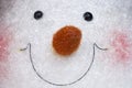 Snowman face Royalty Free Stock Photo