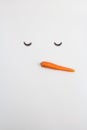 Snowman face made of eyelashes and carrot. Minimal style.