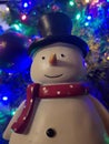 Snowman festive christmas xmas lights smile snow