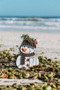 Snowman in Florida. Craft snowman on New Smyrna Beach, Florida Royalty Free Stock Photo