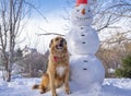 Snowman and furry dog under a blue sky on a winter day Royalty Free Stock Photo