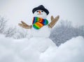 Snowman gentleman in winter hat. Snowman in snow forest. Merry Christmas and Happy new year. Winter scene with snowman Royalty Free Stock Photo