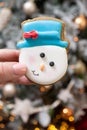 Snowman gingerbread cookie Royalty Free Stock Photo