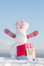Snowman girl in winter pink wig hair with bag