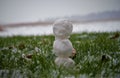 Snowman in grass