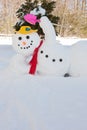 Snowman Royalty Free Stock Photo