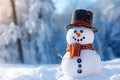 A snowman in a hat in a snowy park Royalty Free Stock Photo