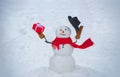 Snowman isolated on snow background. Greeting snowman. Happy snowman standing in winter Christmas landscape. Design Gift Royalty Free Stock Photo