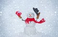 Snowman isolated on snow background. Greeting snowman. Happy snowman standing in winter Christmas landscape. Design Gift