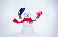 Snowman isolated on snow background. Greeting snowman. Happy snowman standing in winter Christmas landscape. Design Gift Royalty Free Stock Photo