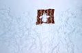 a snowman lying with arms outstretched on his back on a blanket and sunbathing. Royalty Free Stock Photo