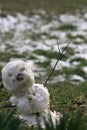 Snowman melting with green grass. Concept: spring