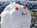 snowman portrait closeup tomatoes carrot