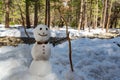 Snowman Royalty Free Stock Photo