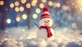 A Snowman\'s Delight in the Winter Wonderland