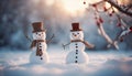 snowman of the snow Merry christmas and happy new year greeting card two cheerful snowmen standing in winter christmas