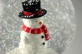 Snowman in Snowglobe Royalty Free Stock Photo