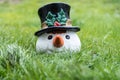 Snowman after snowmelt in the grass