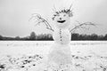 Funny snowman on snowy field with open arms made of twigs