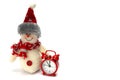 Snowman toy is ready to celebrate Christmas and New Year