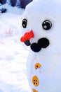 Snowman In Winter Made of Snow Eyes Carrot Nose Wintertime