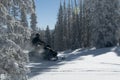 Snowmobile riding coming between trees creating powder