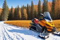 Snowmobile signs in the fall.