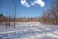 Snowmobile trace in a field