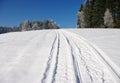 Snowmobile track