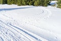 Snowmobile track marks on the snow