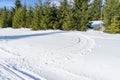 Snowmobile track marks on the snow Royalty Free Stock Photo