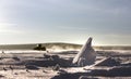 Snowmobile track in snow