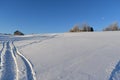 Snowmobile tracks in a field Royalty Free Stock Photo