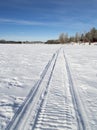 Snowmobile Tracks on Frozen Lake Royalty Free Stock Photo
