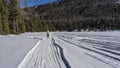 Snowmobile tracks are visible on the frozen and snow-covered lake. Royalty Free Stock Photo