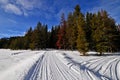 Snowmobile Trail along Greys River, Wyoming