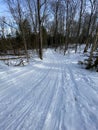 Snowmobile trail through the trees