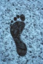 Snowprint Royalty Free Stock Photo