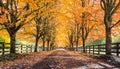 Snowqualmie Fall Colors Royalty Free Stock Photo