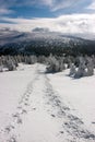 Snowshoe Footprints on Snowy Plain in Sunny Day