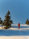 Snowshoe hiker in red walking with backpack and hiking poles leaving footprints in the snow during sunset